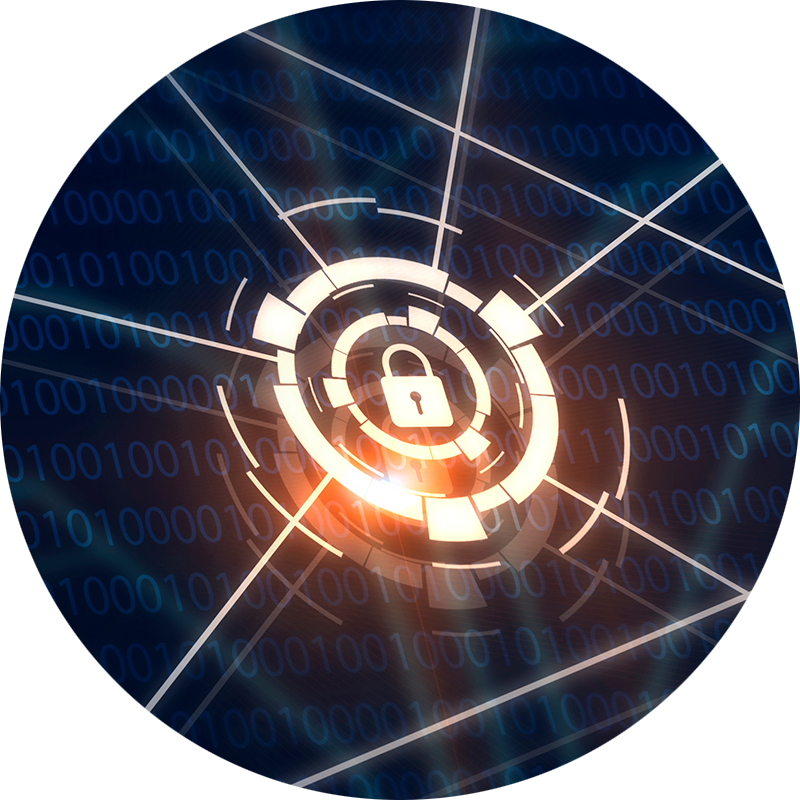 A secure, reliable and robust network for organisations
